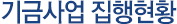 기금사업 집행현황